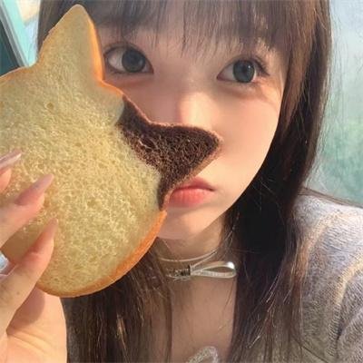 我的宠物少将军